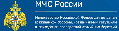 «Информационный ресурс МЧС России»